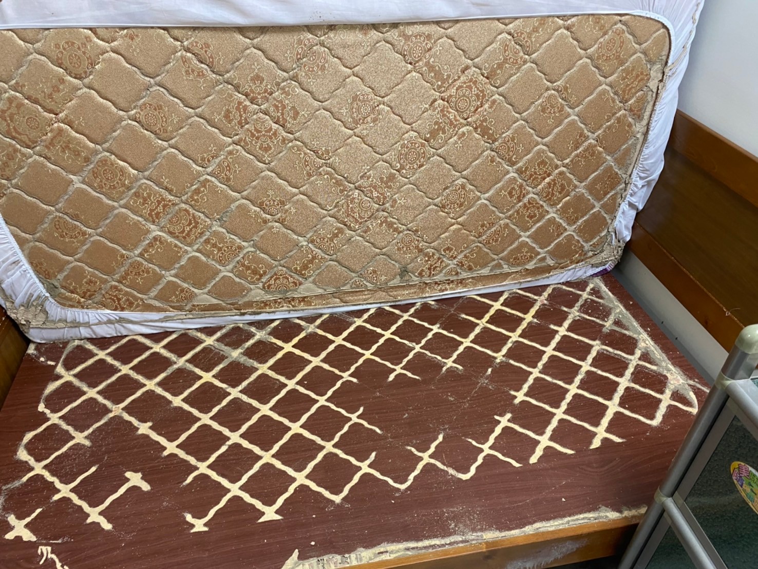 Ho消毒有限公司的實際案例圖片